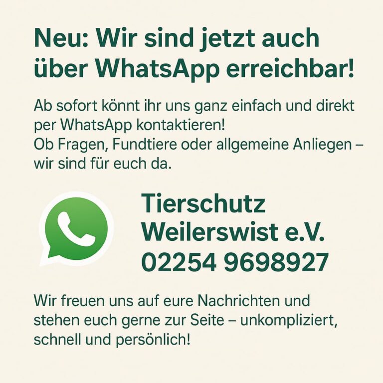 Mehr über den Artikel erfahren Neu: WhatApp
