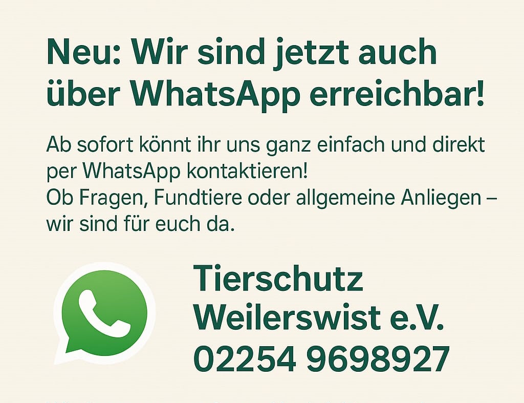 WhatsApp_quer