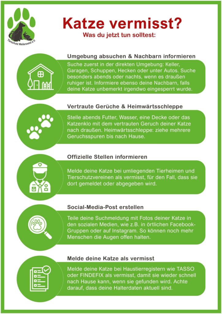 Katze vermisst